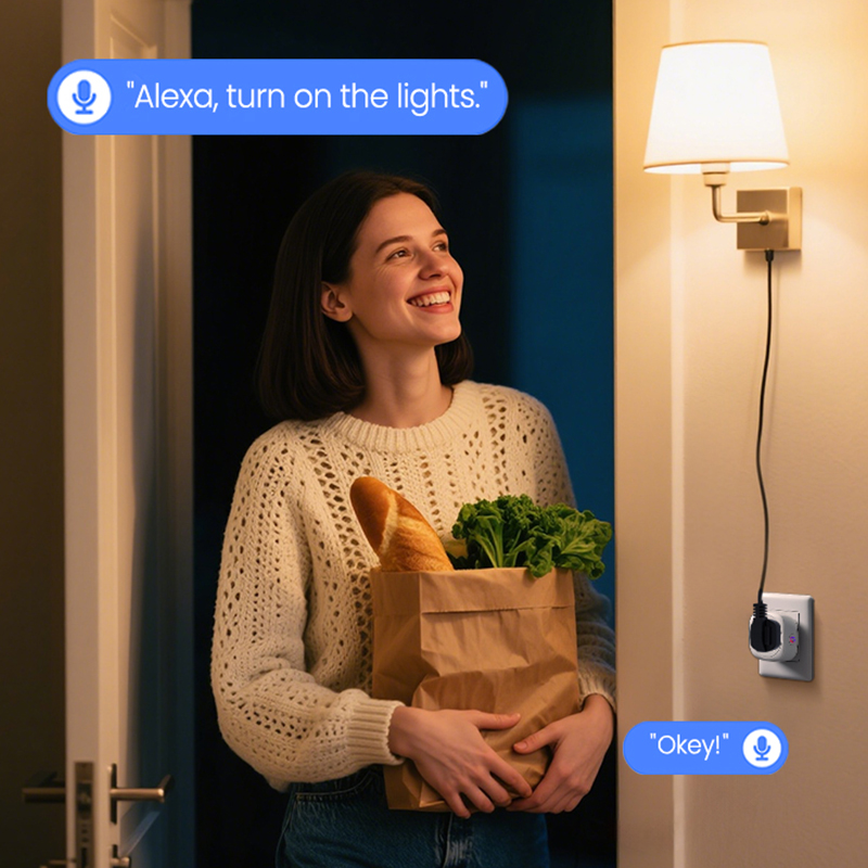 Tuya South Africa Plug 16A/20A - огляд і ціна Smart Plug Zigbee 16A